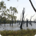 Bilder zur Sendung Australiens Mississippi - Der Murray-River