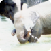 Bilder zur Sendung Tierisch Extrem