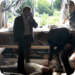 Bilder zur Sendung Tatort