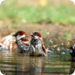 Bilder zur Sendung Welt der Tiere