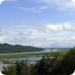 Bilder zur Sendung Tigerwald und Kranichsee