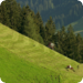 Bilder zur Sendung Die Alpen von oben