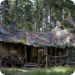 Bilder zur Sendung 