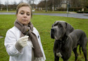 WDR 20:15: Tatort