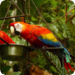 Bilder zur Sendung Die neuen Paradiese