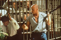 Kabel1 23:25: Natural Born Killers