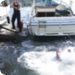 Bilder zur Sendung Deadly Water