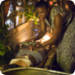 Bilder zur Sendung True Blood