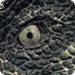 Bilder zur Sendung Das Erbe der Dinosaurier